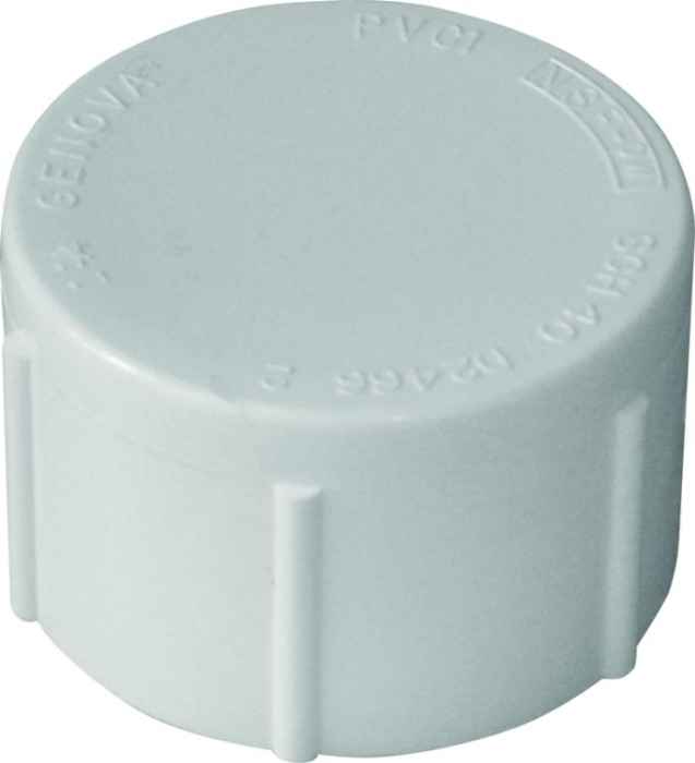 IPEX 30162 2 Inch PVC Dome Shaped Top Pipe Cap At Sutherlands