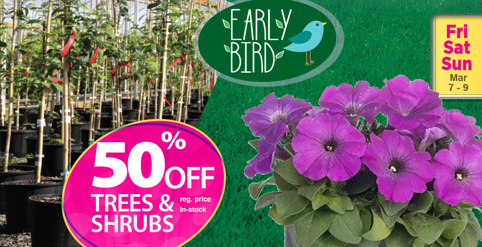 Home Improvement Stores Local Hardware & Building Supplies