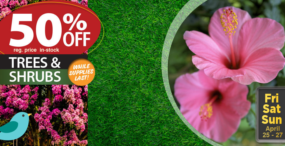 Home Improvement Stores Local Hardware & Building Supplies