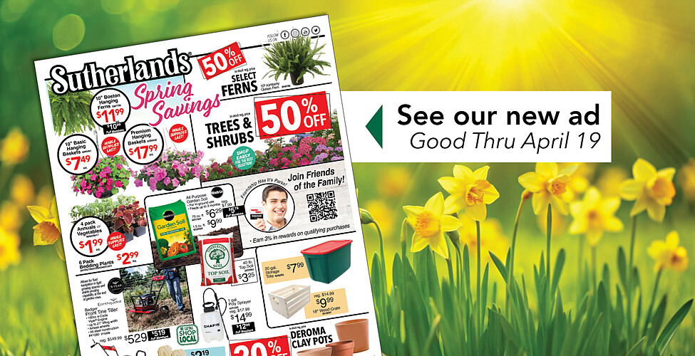 Sutherlands Home Centers Featured Promotion