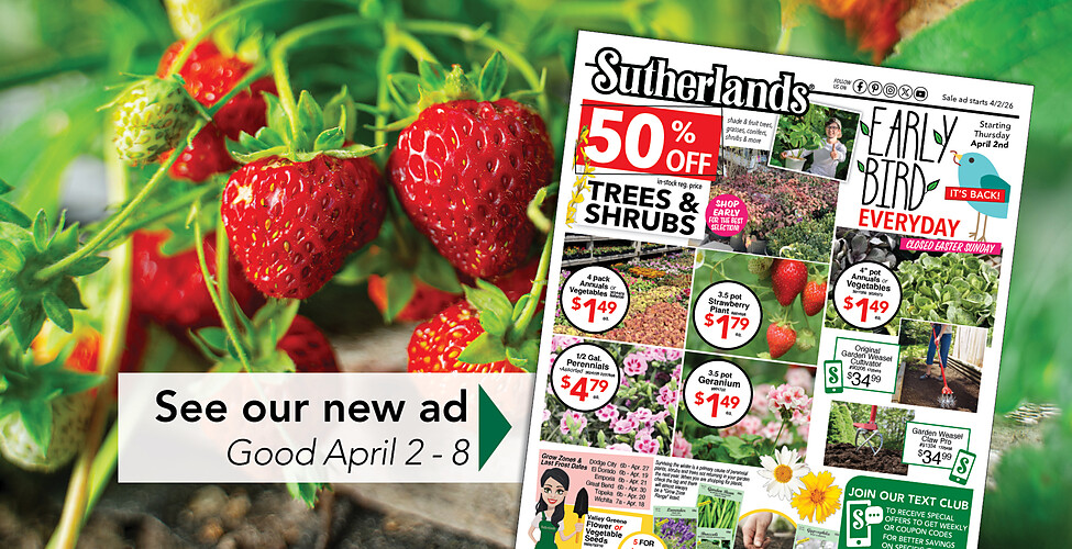 Sutherlands Home Centers Featured Promotion