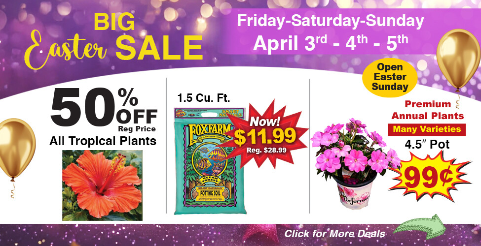 Sutherlands Home Centers Featured Promotion