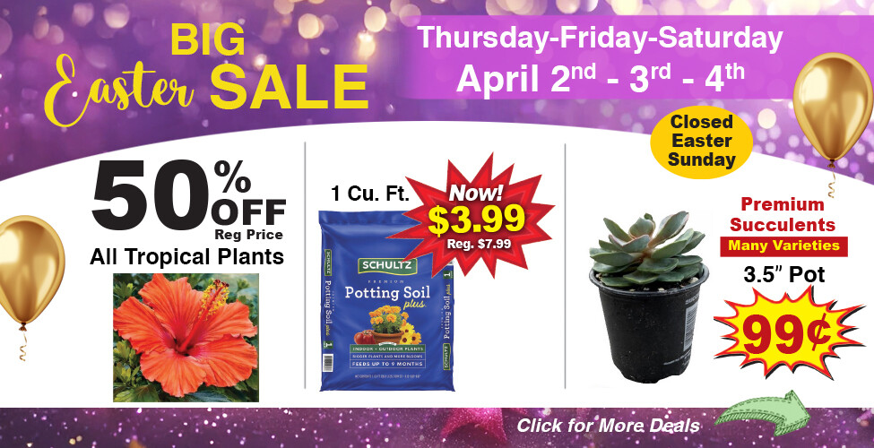 Sutherlands Home Centers Featured Promotion
