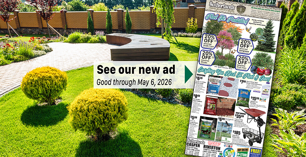 Sutherlands Home Centers Featured Promotion