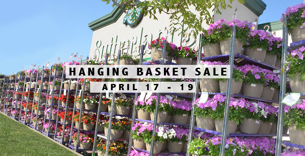 Sutherlands Home Centers Featured Promotion