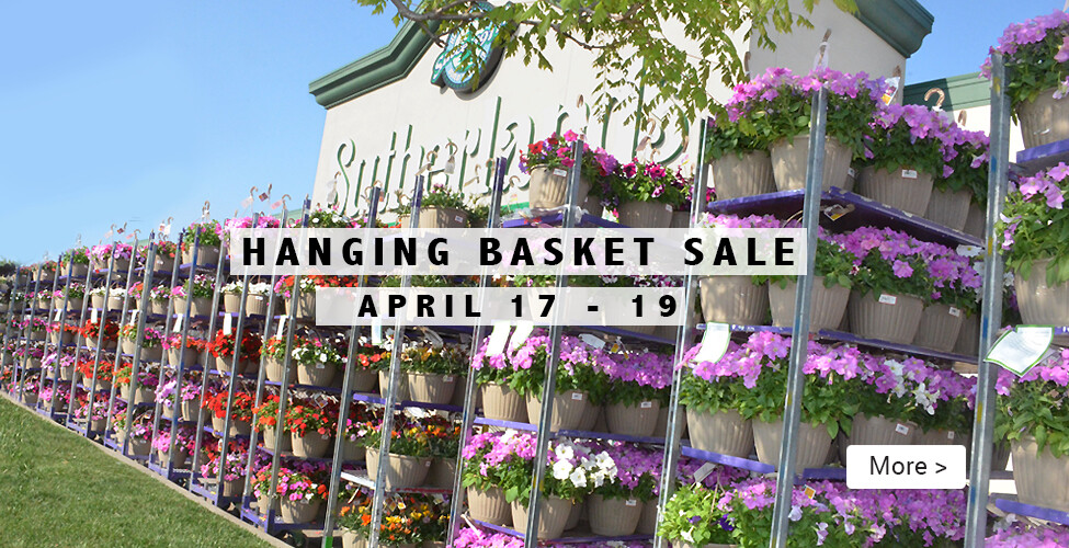 Sutherlands Home Centers Featured Promotion