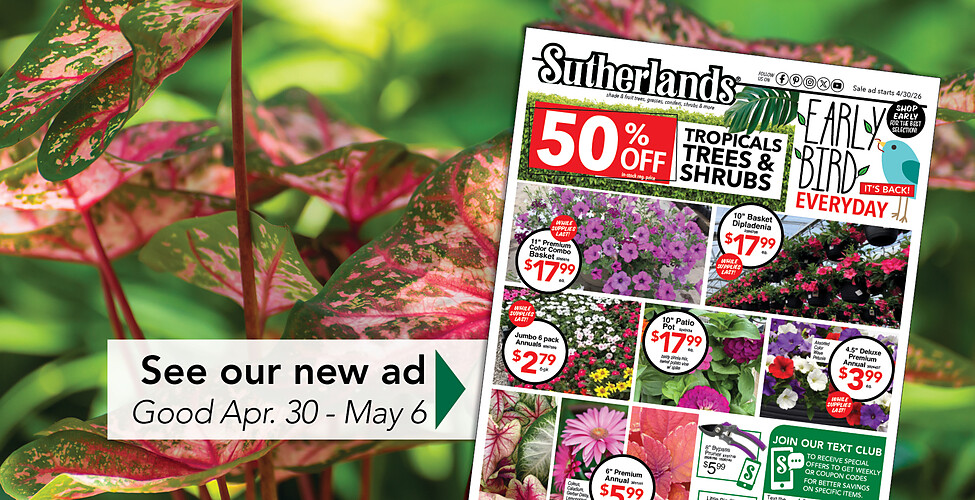 Sutherlands Home Centers Featured Promotion