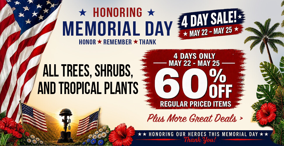 Sutherlands Home Centers Featured Promotion