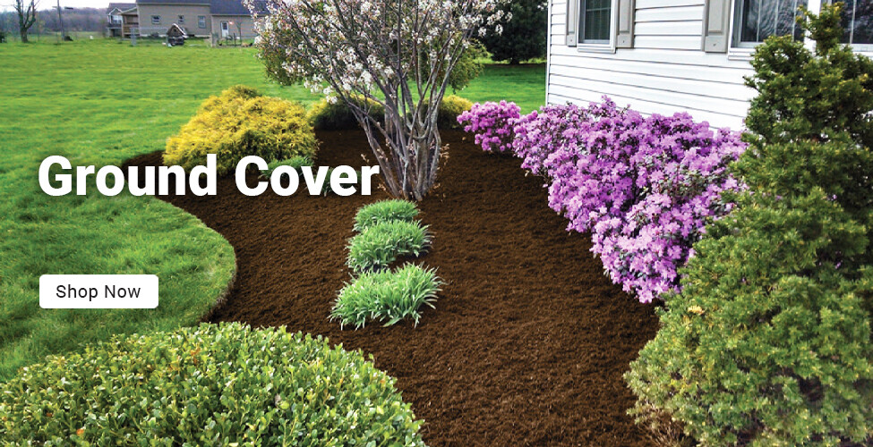 Sutherlands Home Centers Featured Promotion