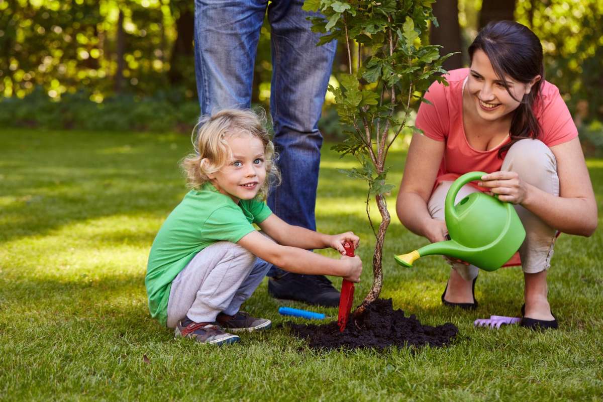 People planting a tree