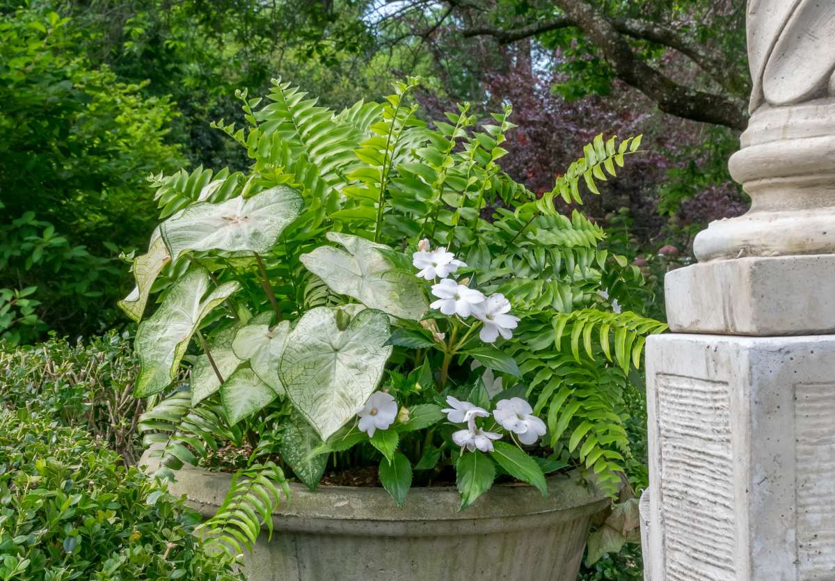 Container garden planter