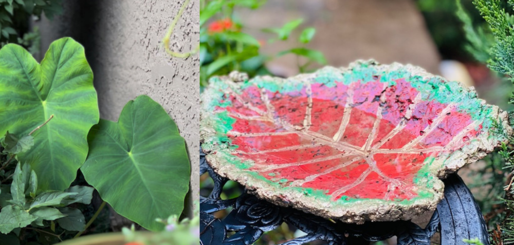 How to Make Concrete Leaf Casting Bowl, Elephant Ear Cement Leaf