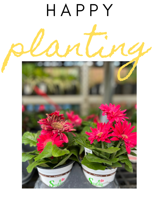 Pvc Pipes Turn Planters Sutherlands Blog