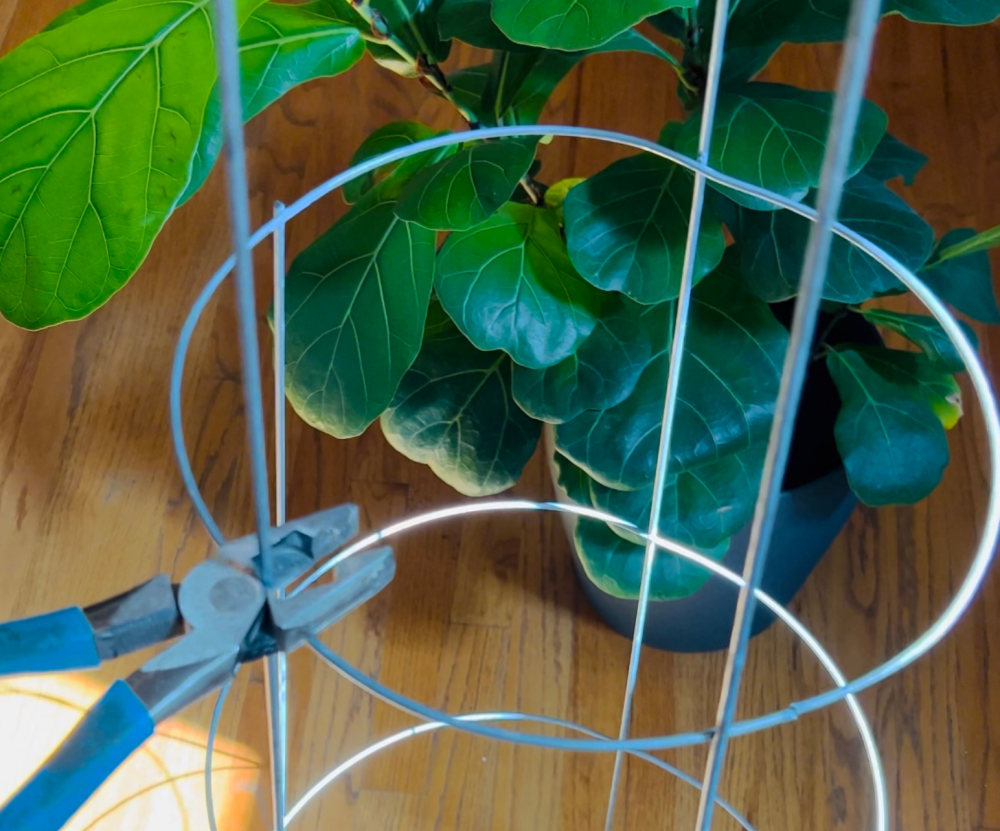 Tomato Cage Plant Stand Sutherlands Blog