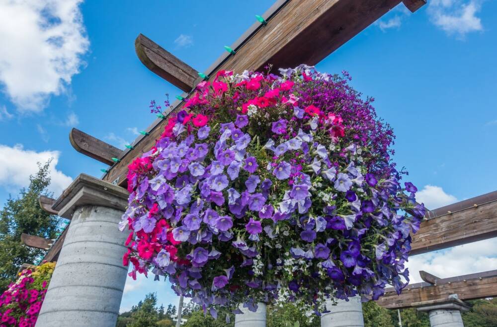How to Make a Hanging Basket Sphere Sutherlands Blog