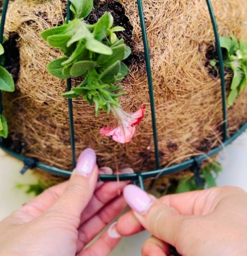 How to Make a Hanging Basket Sphere Sutherlands Blog