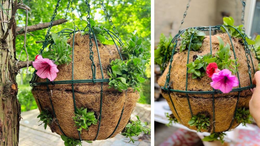 How to Make a Hanging Basket Sphere Sutherlands Blog
