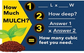 Photo: What Are Popular Kinds Of Mulch?