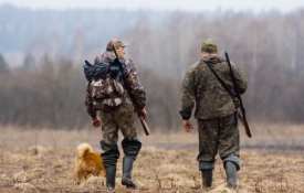 Photo: How to Choose Between Tree Stands or Ground Blinds When Hunting
