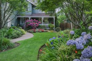 Photo: What Will You Do to Your Yard This Spring?