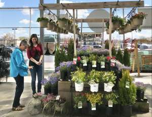 Photo: Tips for helping your flowers flourish!