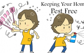 Photo: Best Ways to Keep Your Home Pest Free, Inside and Out