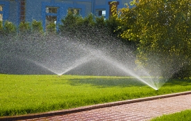 Photo: How to Efficiently and Effectively Water Your Lawn