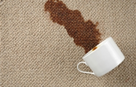 Photo: How to Remove Carpet Stains