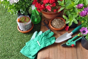 Get garden hand tools including pruners, wheelbarrows, spreaders and more from Sutherlands.