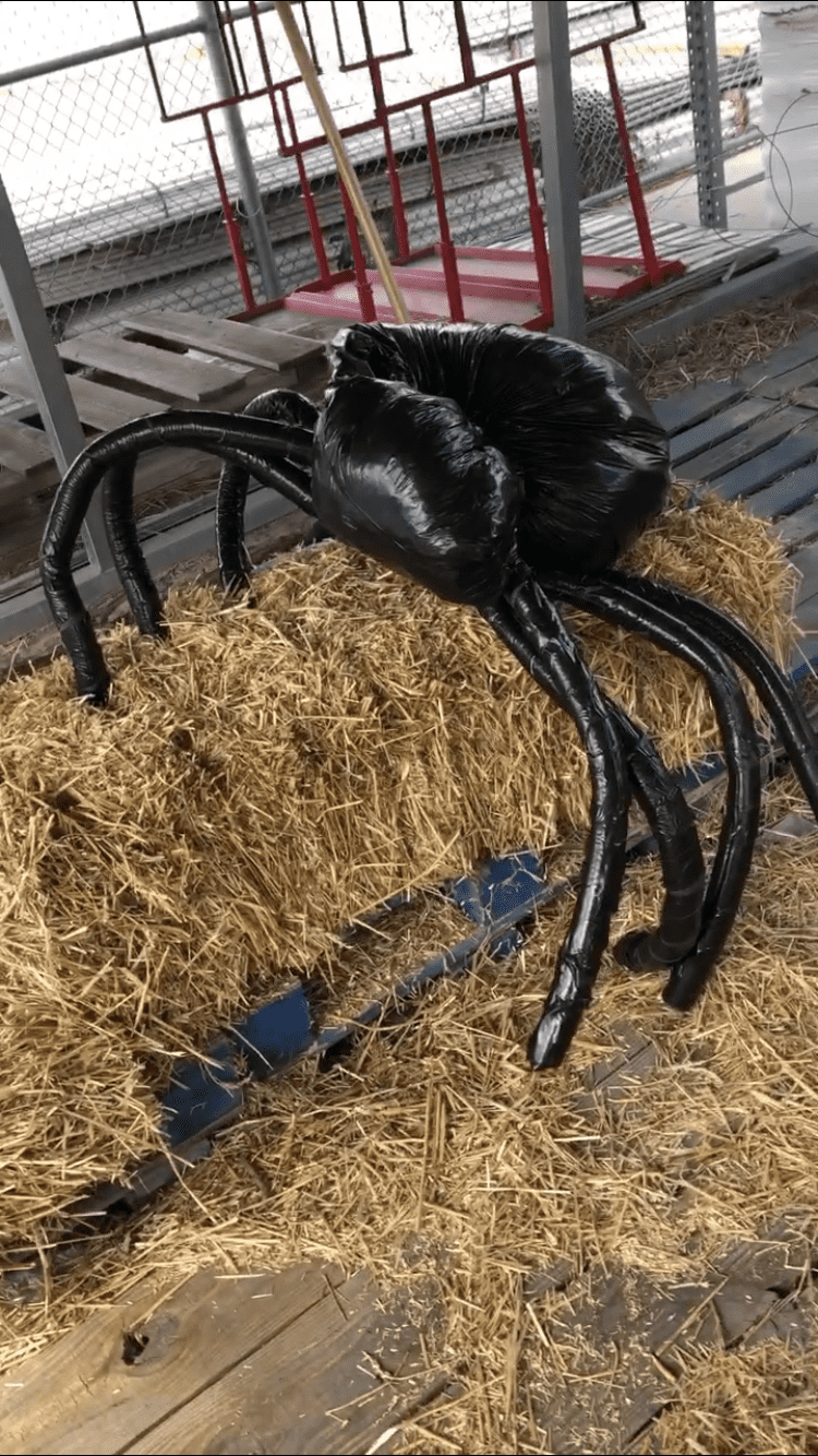 finished halloween spider