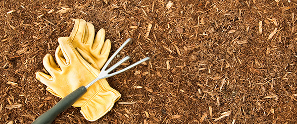 Home Improvement Stores | Local Hardware & Building Supplies
