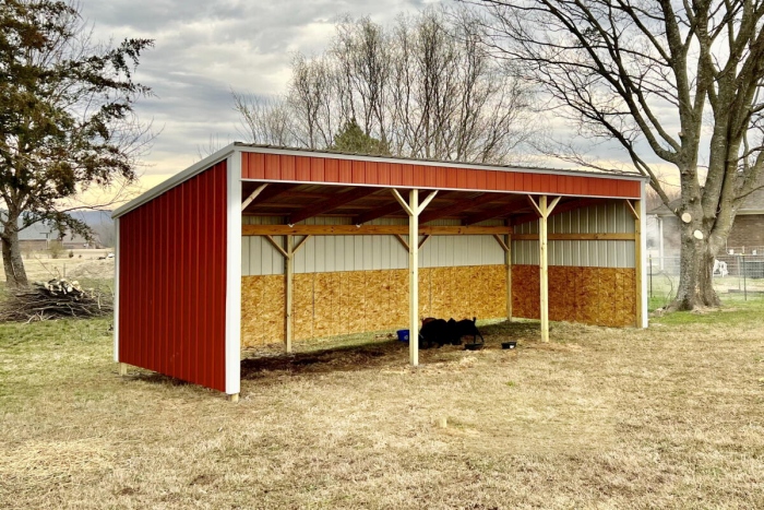 Loafing Shed