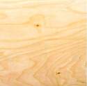 3/8-Inch X 4 x 4-Foot Sanded Plywood