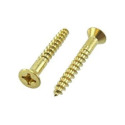 #6 X 1-Inch Phillips Flat Head Brass Wood Screws 100-Count