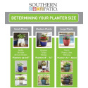 SOUTHERN PATIO® CRM-081531 
