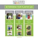 SOUTHERN PATIO® CMX-069744 