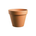 8-Inch Standard Terracotta Clay Pot