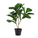 24-Inch Potted Fiddle Leaf Faux Tree