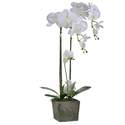 Square Potted Faux Orchid