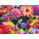 Colorful Koi Pond 1000-Piece Jigsaw Puzzle