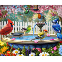 500-Piece Birds of Spring Jigsaw Puzzle