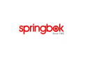 springbok® 33-10880 