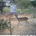 ALL SEASONS FEEDERS® 765665201895 