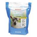 3.5-Pound Lamb Milk Replacer