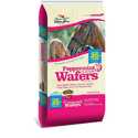 20-Pound Peppermint Wafers Horse Treats