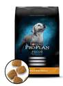 6-Pound Pro Plan Focus Puppy Chicken And Rice Formula