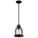 1-Light Indoor Mini-Pendant, Oil Rubbed Bronze With Barnwood Accents