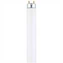 48-Inch 40-Watt Cool White T12 Linear Fluorescent Light Bulb, 2-Pack