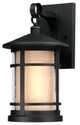 60-Watt Textured Black Albright One-Light Outdoor Medium Wall Lantern