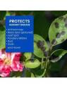 BioAdvanced® BY701290B 